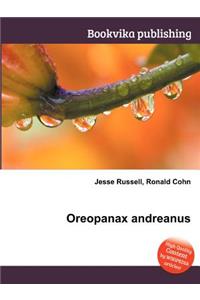 Oreopanax Andreanus