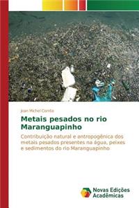Metais pesados no rio Maranguapinho