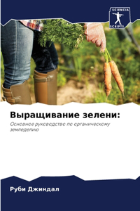 Выращивание зелени