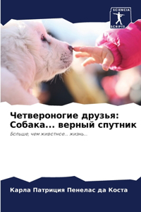 Четвероногие друзья