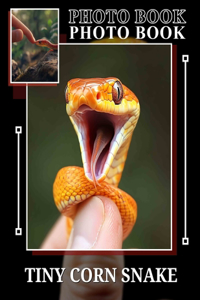 TIny Corn Snake Photo Book