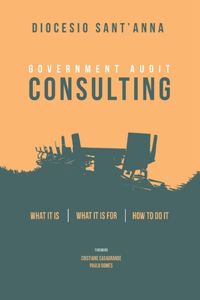 Government Audit Consulting