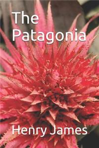 The Patagonia