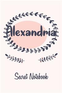 Alexandria Secret Notebook