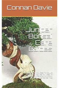Juniper Bonsai Care Guides