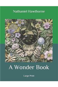 A Wonder Book