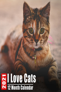 Calendar 2021 I Love Cats