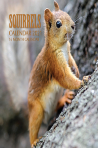 Squirrels Calendar 2021