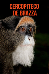Cercopiteco de Brazza