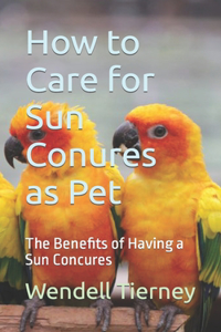 How to Care for Sun Conures as Pet