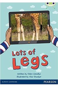 Bug Club Independent Non Fiction Reception Red A Lots of Legs