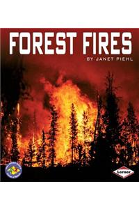 Forest Fires