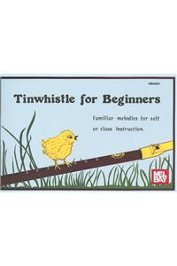 Tinwhistle For Beginners