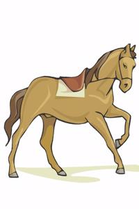 Horse Illustration School Composition Book Equine Horse Under Saddle