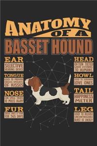 Anatomy Of A Basset Hound
