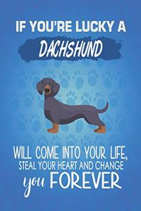 If You're Lucky A Dachshund Will Come Into Your Life, Steal Your Heart And Change You Forever
