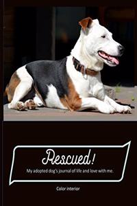 Rescued! My adopted dog's journal of life and love with me.