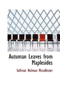 Autuman Leaves from Maplesides