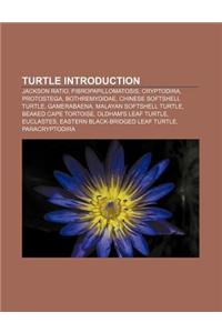 Turtle Introduction: Jackson Ratio, Fibropapillomatosis, Cryptodira, Protostega, Bothremydidae, Chinese Softshell Turtle, Gamerabaena