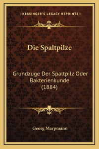 Die Spaltpilze