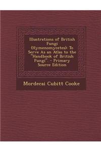 Illustrations of British Fungi (Hymenomycetes)