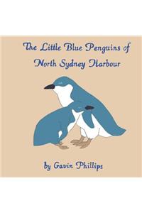 The Little Blue Penguins of North Sydney Harbour