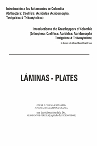 Introduccion a los saltamontes de Colombia (Laminas-Plates)