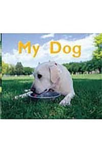 Rigby Flying Colors: Leveled Reader Bookroom Package Magenta My Dog