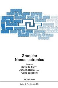 Granular Nanoelectronics