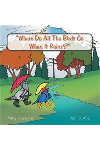 Where Do All The Birds Go When It Rains?