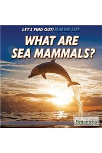 What Are Sea Mammals?