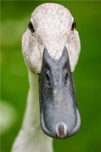 Charming Indian Runner Duck Extreme Close-Up Journal