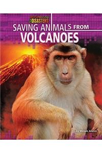 Saving Animals from Volcanoes