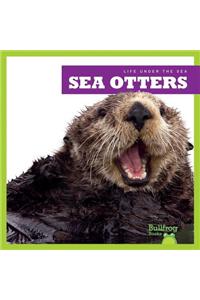 Sea Otters