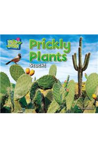 Prickly Plants