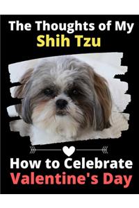 The Thoughts of My Shih Tzu