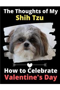 Thoughts of My Shih Tzu