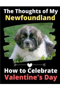 The Thoughts of My Newfoundland