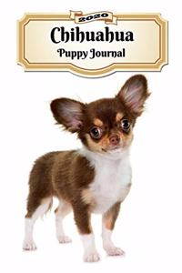 2020 Chihuahua Puppy Journal