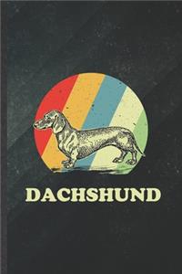 Dachshund