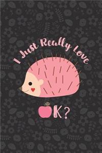 I Just Really Love Hedgehogs, Ok?