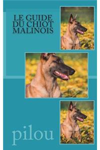 guide du chiot malinois