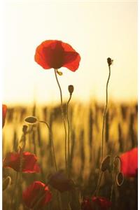 The Hacker-Proof Internet Address Password Book - Poppy Sunset