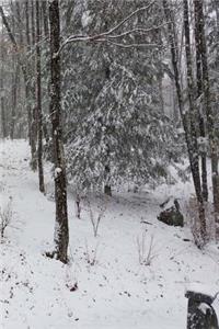 2019 Daily Planner Winter Scene Evergreens Trees 384 Pages