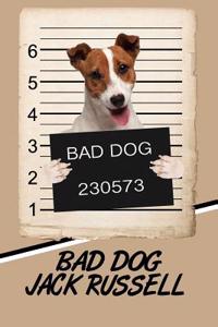 Bad Dog Jack Russell