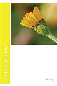 OCR Level 1 ITQ - Unit 18 - Database Software Using Microsoft Access 2007