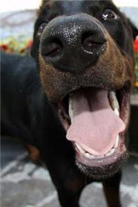 Up In Your Face Doberman Notebook