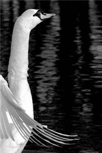 Swan Lake Notebook
