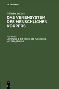 Die Venen Des Fusses Und Unterschenkels