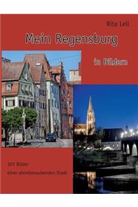 Mein Regensburg